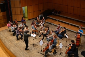 Оркестр «Віртуози Львова» відкрив для швейцарських меломанів українську музику